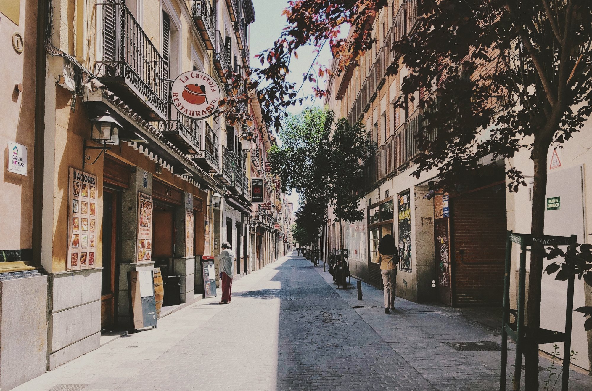 Tree-lined street in the Salamanca district of Madrid