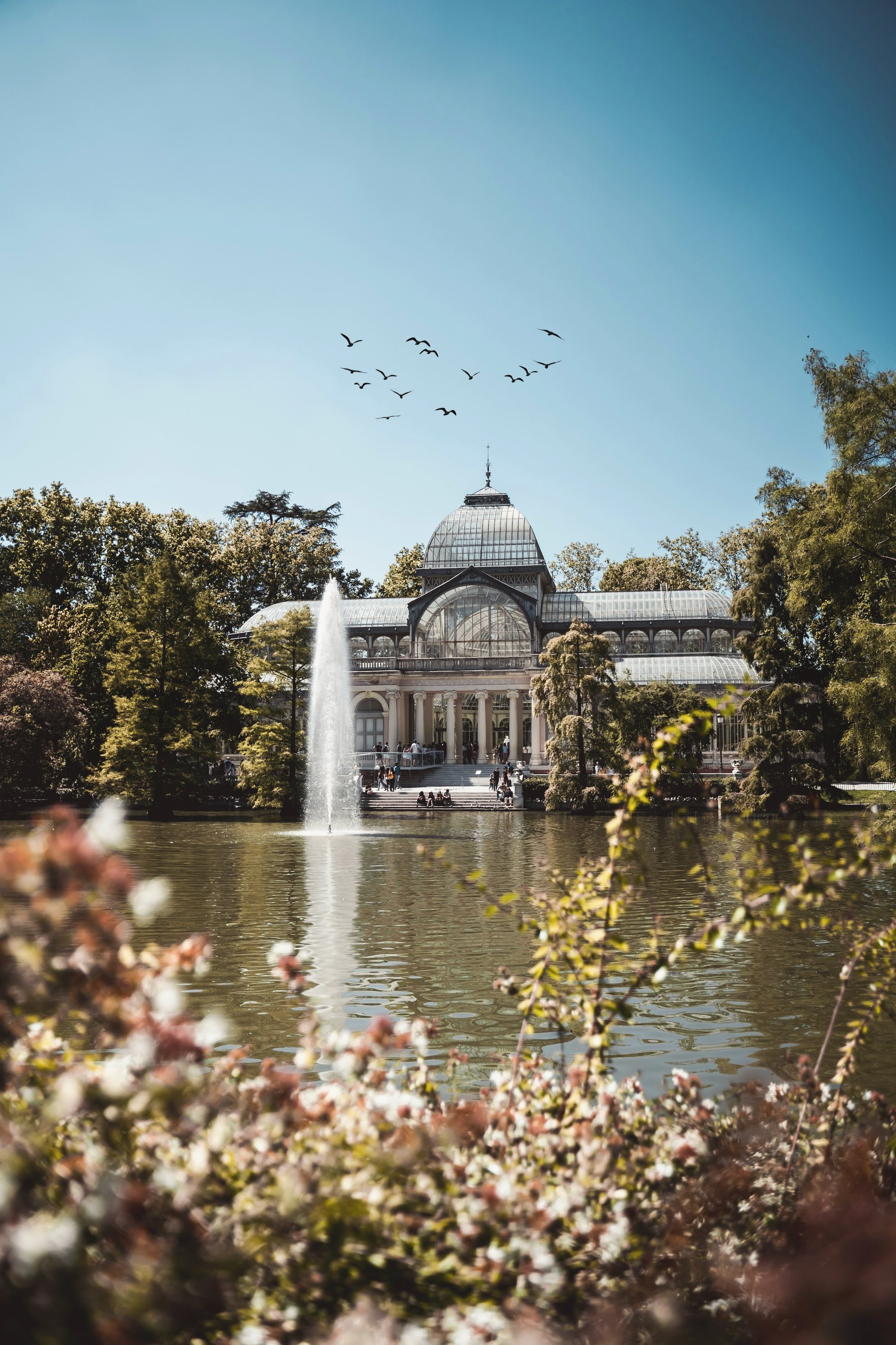 Tree-lined path in the Retiro park in Madrid
